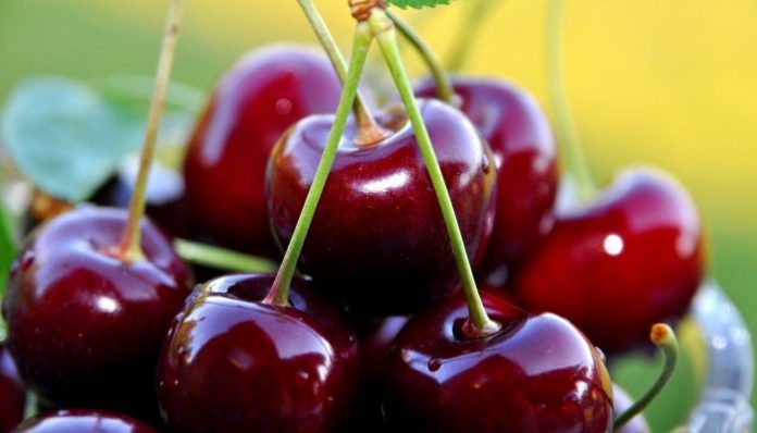 Wonderful cherry, fruit good for health