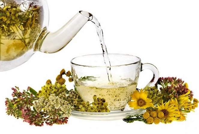 dangerous-plants-during-pregnancy (3)