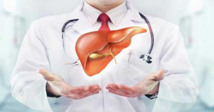 Information on Fatty Liver Disease2