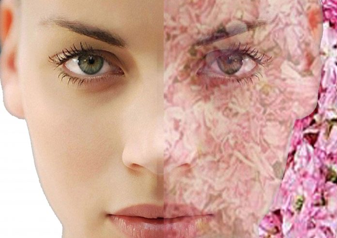 What is collagen