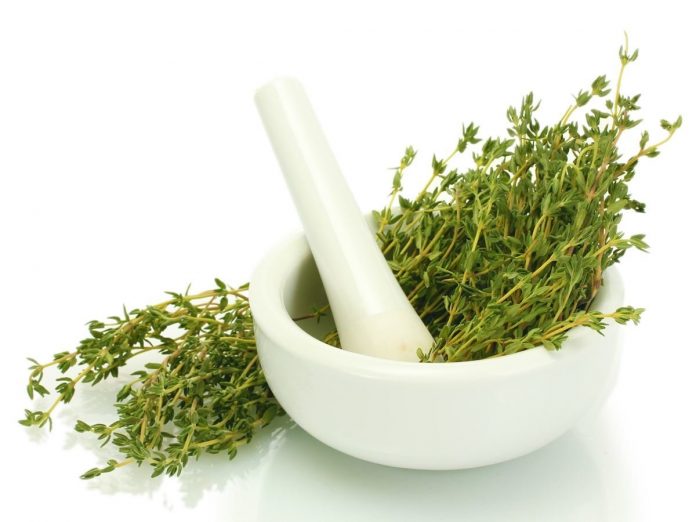 What is the relationship between thyme