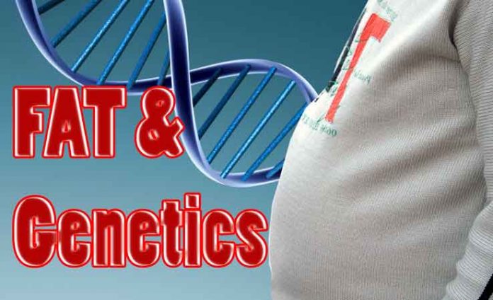 effective-methods-to-shut-off-the-genes-responsible-for-obesity