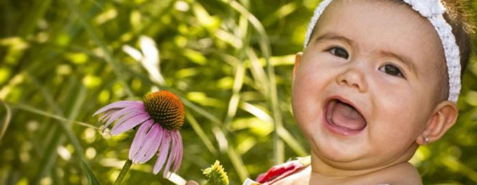 misconceptions-false-common-about-jaundice-infants