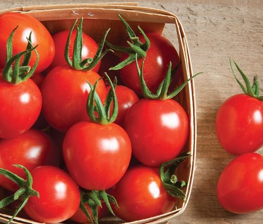خواص و مضررات گوجه فرنگی و ۱۰ دستور غذایی با آن