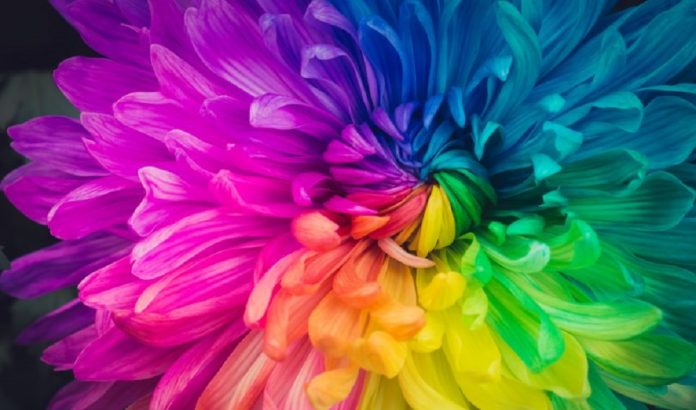 The role of color in people's lives5